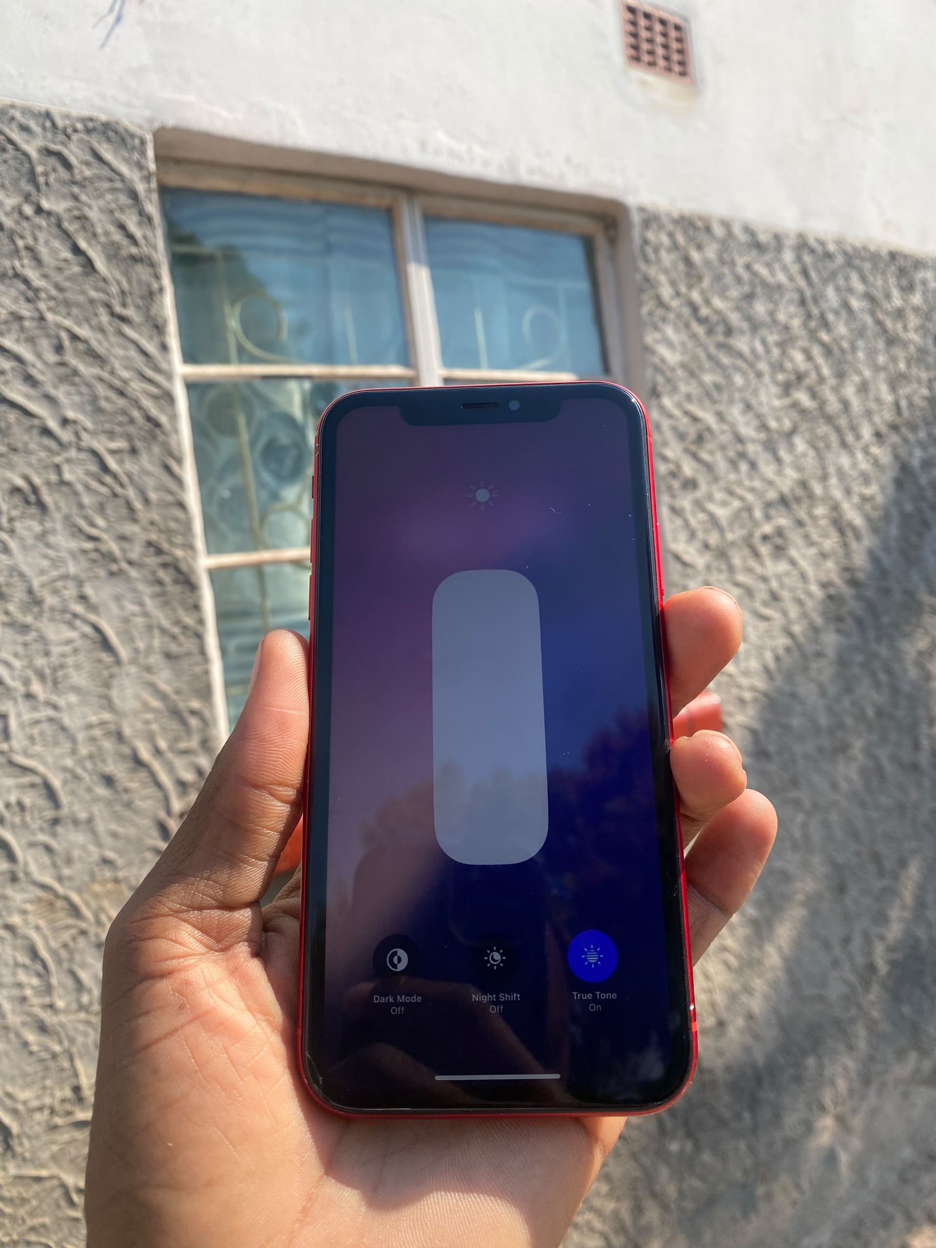 iPhone X